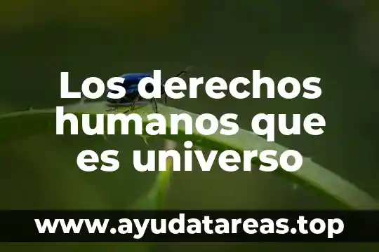 Los derechos humanos que es universo