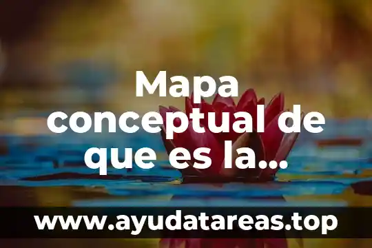 Mapa conceptual de que es la empresa