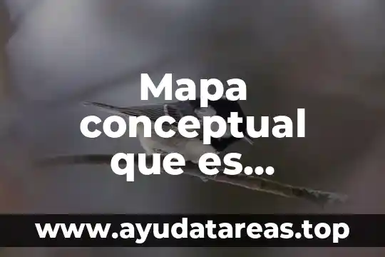 Mapa conceptual que es administracion financiera