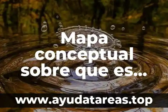 Mapa conceptual sobre que es economia