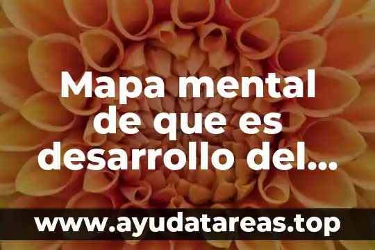 Mapa mental de que es desarrollo del pensamiento