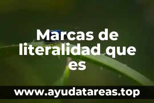 Marcas de literalidad que es