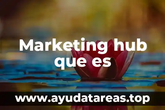 Marketing hub que es