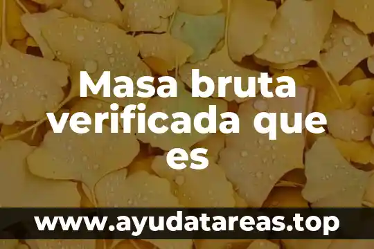 Que es la masa de mayor ecogenicidad sin doppler color 6 Masa bruta verificada que es