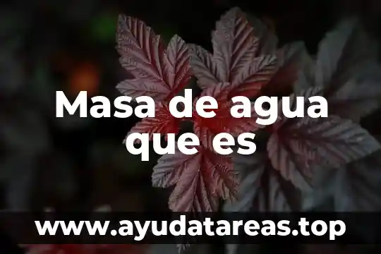 Que es la masa de mayor ecogenicidad sin doppler color 4 Masa de agua que es