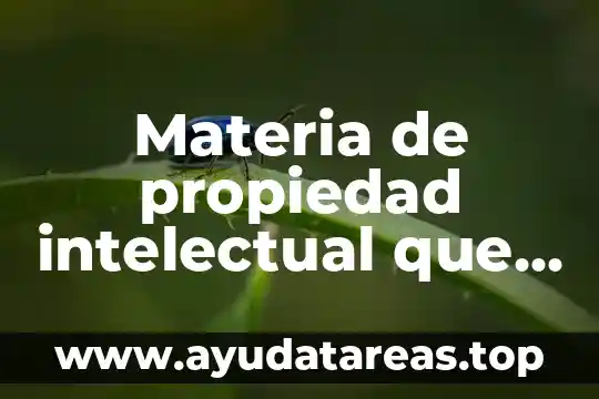 Materia de propiedad intelectual que es
