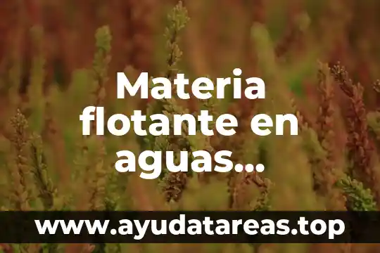 Qué es la mineralización en aguas residuales 8 Materia flotante en aguas residuales que es