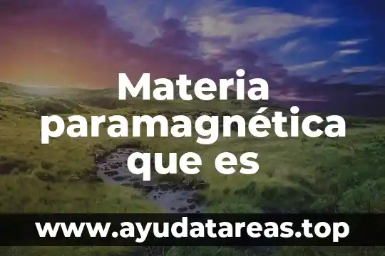 Materia paramagnética que es