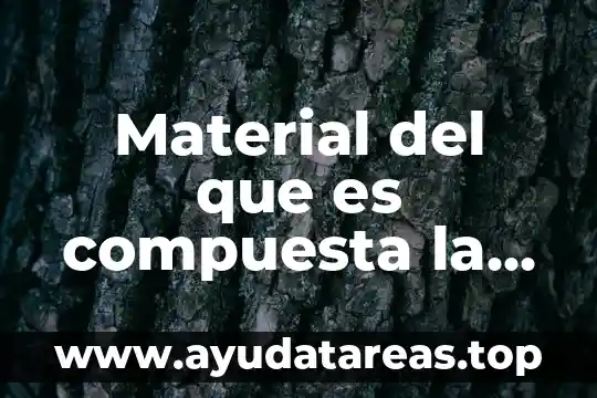 Material del que es compuesta la balanza