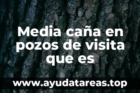 Que es tipologuias significado 5 Media caña en pozos de visita que es