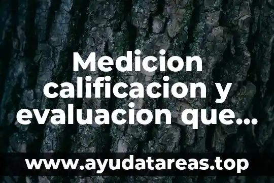 Medicion calificacion y evaluacion que es
