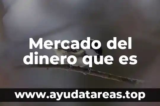 Que es un proveedor de recursos lavado dinero 8 Mercado del dinero que es