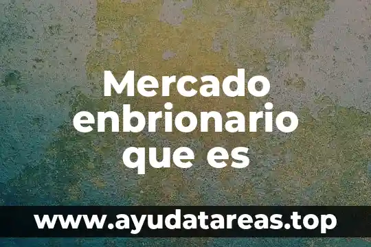 Que es un mercado intraindustrial 3 Mercado enbrionario que es