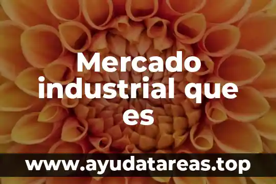 Mercado industrial que es
