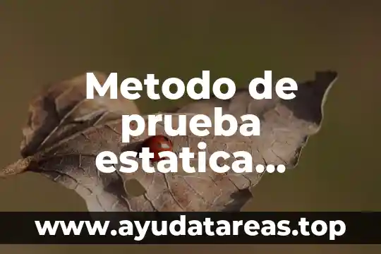Metodo de prueba estatica quimica que es