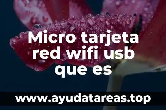Qué es el cable USB y para qué sirve 4 Micro tarjeta red wifi usb que es