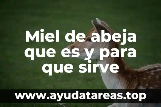 Poe que es importante la abeja para el ser humano 5 Miel de abeja que es y para que sirve