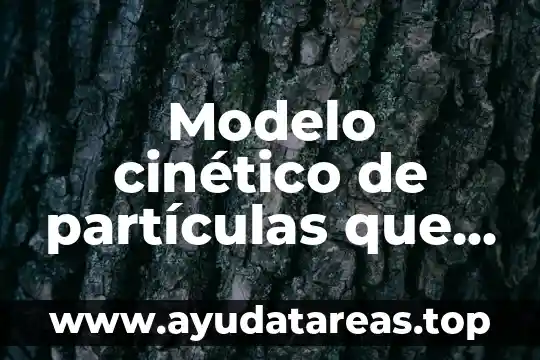 Que es el modelo cinetico molecular del agua 7 Modelo cinético de partículas que es