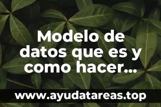 Que es un argumento de datos 5 Modelo de datos que es y como hacer uno