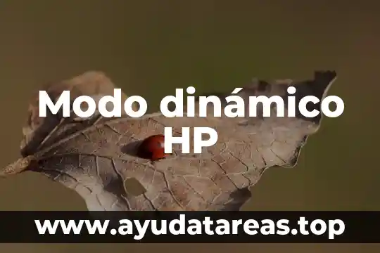 Modo dinámico HP