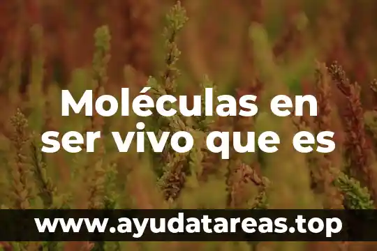 Moléculas en ser vivo que es