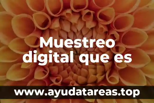 Que es la firma digital 5 Muestreo digital que es