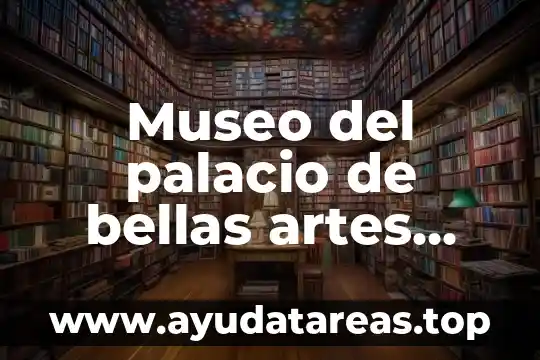 Museo del palacio de bellas artes que es