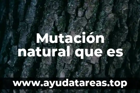 Que es un signo natural 6 Mutación natural que es