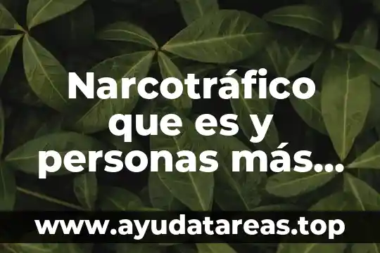 Por que es importantes ser nutriologo apoyar a la comunidad 8 Narcotráfico que es y personas más importantes