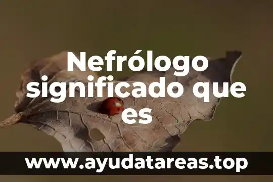Qué es un servidor web significado 6 Nefrólogo significado que es