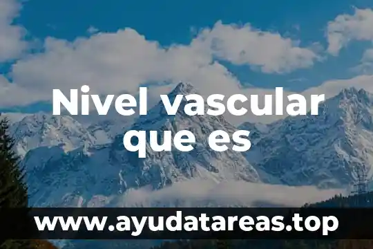 Acceso vascular para que es 8 Nivel vascular que es