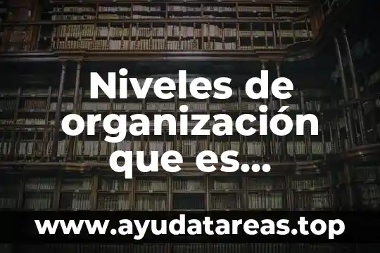 Niveles de organización que es población