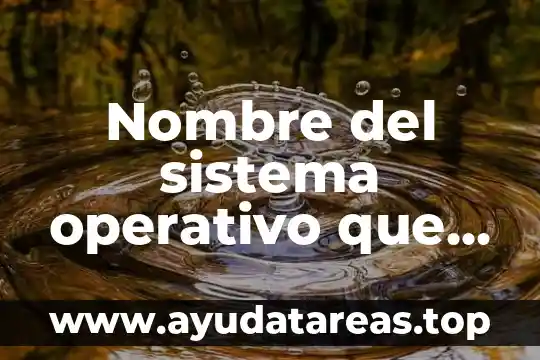 Que es concurrencia de procesos de un sistema operativo 8 Nombre del sistema operativo que es utilizado por mas usuario