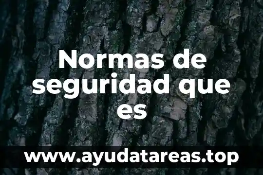Normas de seguridad que es