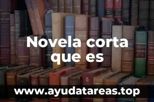 Novela corta que es