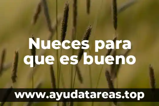 Que es bueno para las arañas vasculares 4 Nueces para que es bueno