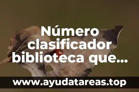 Que es una biblioteca medica digital 6 Número clasificador biblioteca que es