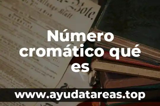 Que es el número de pasante 4 Número cromático qué es