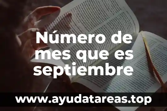 Que es proceso de enmuflado 8 Número de mes que es septiembre
