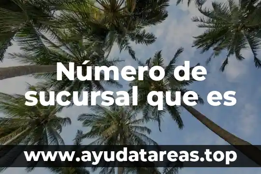 Número de caudal que es 5 Número de sucursal que es