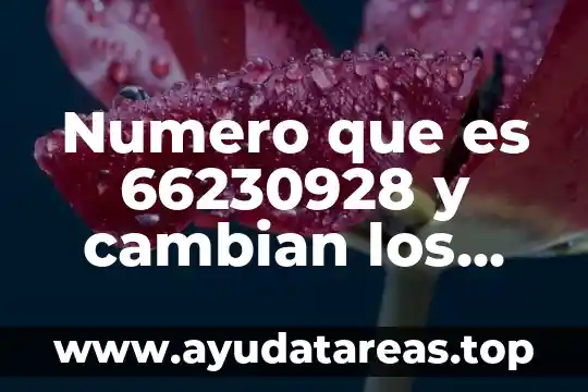 Número de caudal que es 3 Numero que es 66230928 y cambian los ultimos dos digitos