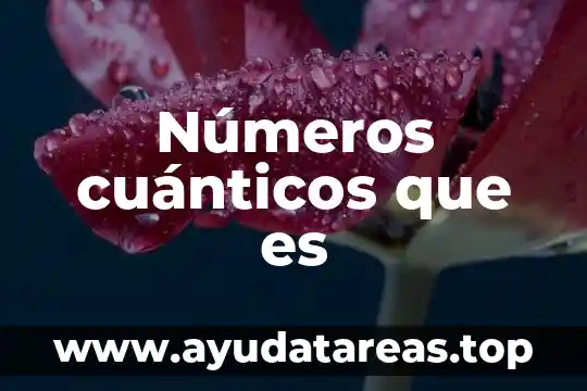 Que es eurocentrismo en filosofía 3 Números cuánticos que es