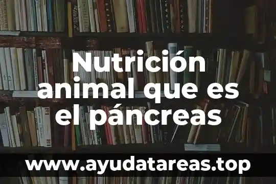 Que es yelmo animal 3 Nutrición animal que es el páncreas
