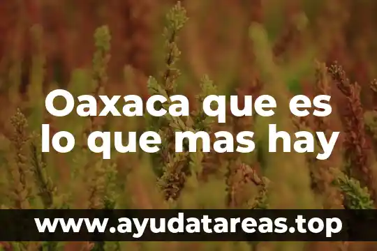 Oaxaca que es lo que mas hay