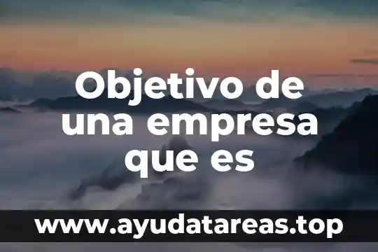 Que es el principio del objetivo 8 Objetivo de una empresa que es
