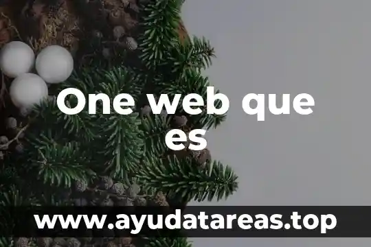 Que es un servidor web resumido 8 One web que es