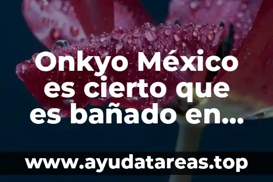 Onkyo México es cierto que es bañado en oro