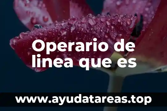 Que es la linea de investigacion en una tesis 7 Operario de linea que es