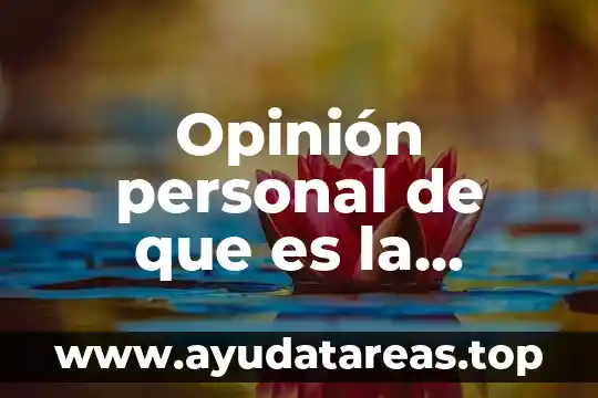 Que es un articulo de opinion cientifica 6 Opinión personal de que es la jurisprudencia