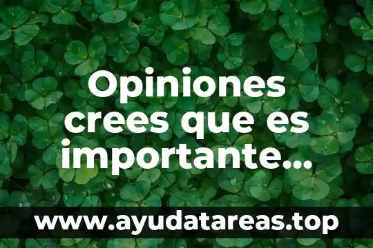 Porque crees que es importante el agua 4 Opiniones crees que es importante desarrollo organizacional